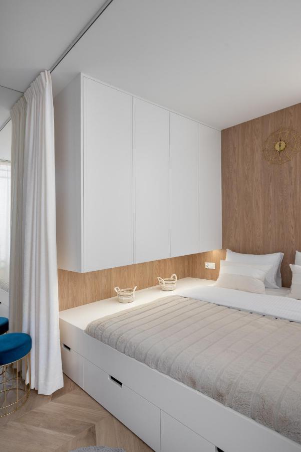 Luxury Modern Apartment